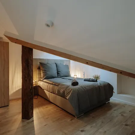 Modern Elegance Lofts - Wohnen Auf Zwei Ebenen パッサウ
