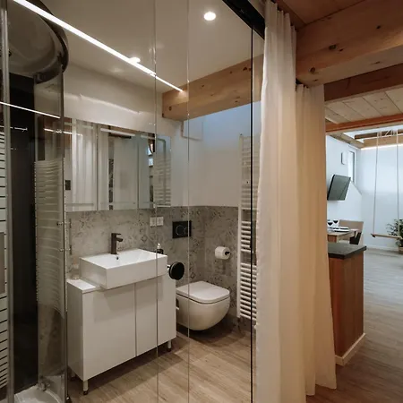 Modern Elegance Lofts - Wohnen Auf Zwei Ebenen パッサウ